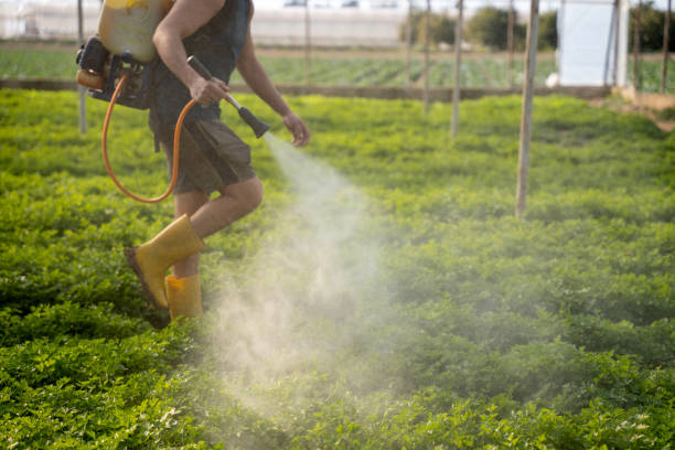 Best Wasp Removal Services  in Chappaqua, NY