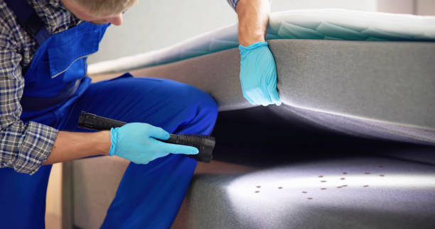 Best Mosquito Control Services  in Chappaqua, NY